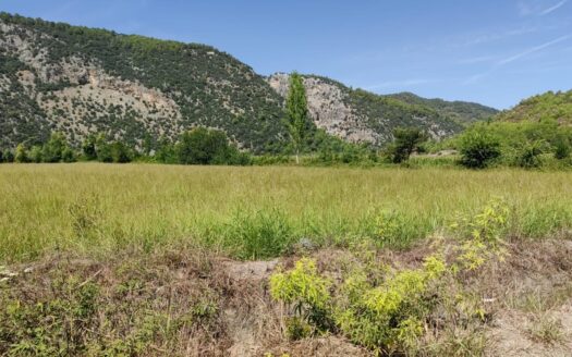 MUĞLA ORTACA YEŞİLYURTTA 17.982,96 m² TEK TAPU TARLA