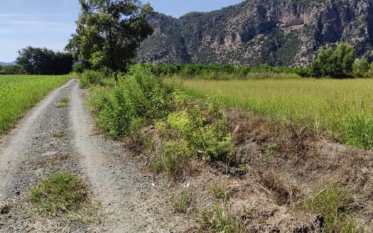 MUĞLA ORTACA YEŞİLYURTTA 17.982,96 m² TEK TAPU TARLA